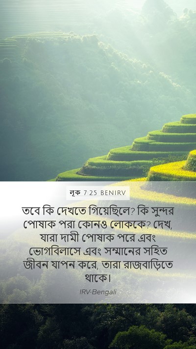 লূক 7:25 BENIRV Bible Verse Image