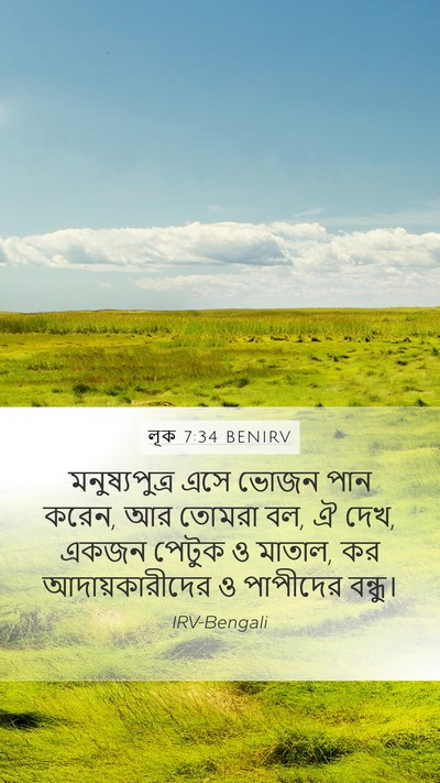 লূক 7:34 BENIRV Bible Verse Image