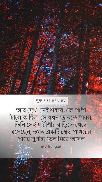 লূক 7:37 BENIRV Bible Verse Image