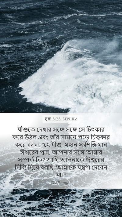 লূক 8:28 BENIRV Bible Verse Image