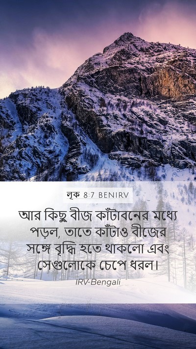 লূক 8:7 BENIRV Mobile Phone Wallpaper - আর কিছু বীজ - Mobile Bible Verse Wallpaper
