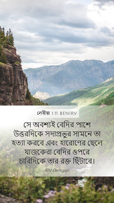লেবীয়া 1:11 BENIRV Bible Verse Image