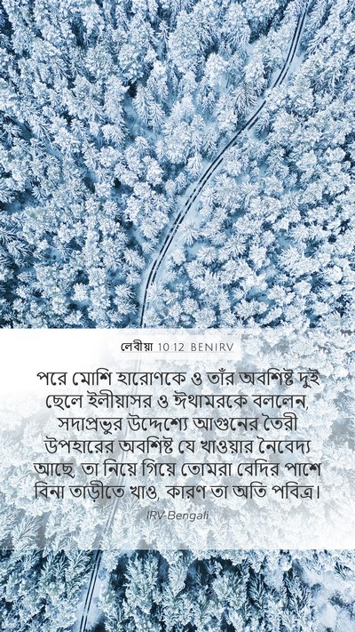 লেবীয়া 10:12 BENIRV Bible Verse Image