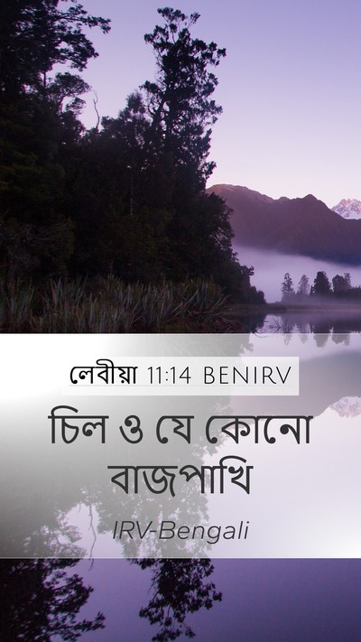 লেবীয়া 11:14 BENIRV Mobile Phone Wallpaper - চিল ও যে কোনো - Mobile Bible Verse Wallpaper