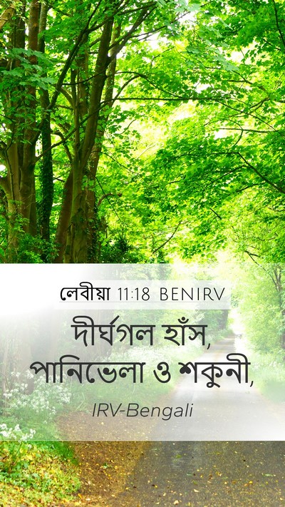 লেবীয়া 11:18 BENIRV Mobile Phone Wallpaper - দীর্ঘগল হাঁস, - Mobile Bible Verse Wallpaper