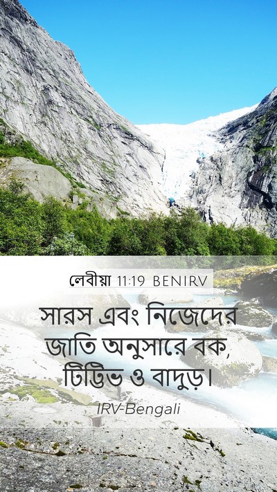 লেবীয়া 11:19 BENIRV Bible Verse Image