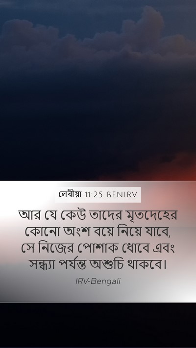 লেবীয়া 11:25 BENIRV Bible Verse Image