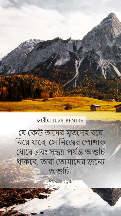 লেবীয়া 11:28 BENIRV Bible Verse Image