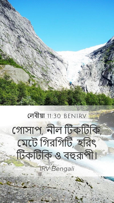 লেবীয়া 11:30 BENIRV Mobile Phone Wallpaper - গোসাপ, নীল টিকটিকি, - Mobile Bible Verse Wallpaper