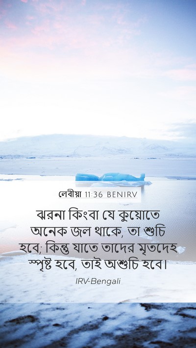 লেবীয়া 11:36 BENIRV Mobile Phone Wallpaper - ঝরনা কিংবা যে - Mobile Bible Verse Wallpaper
