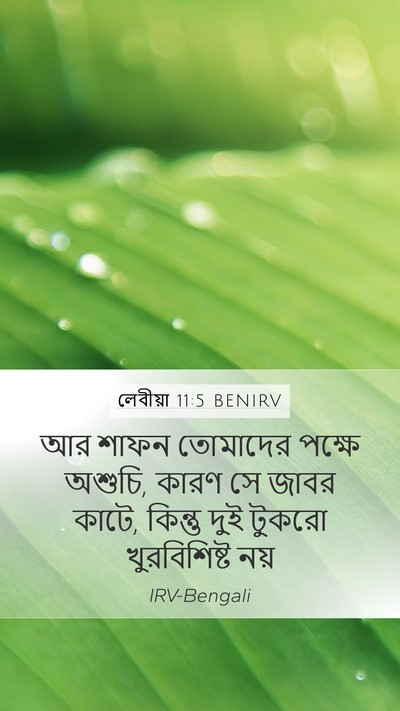 লেবীয়া 11:5 BENIRV Bible Verse Image