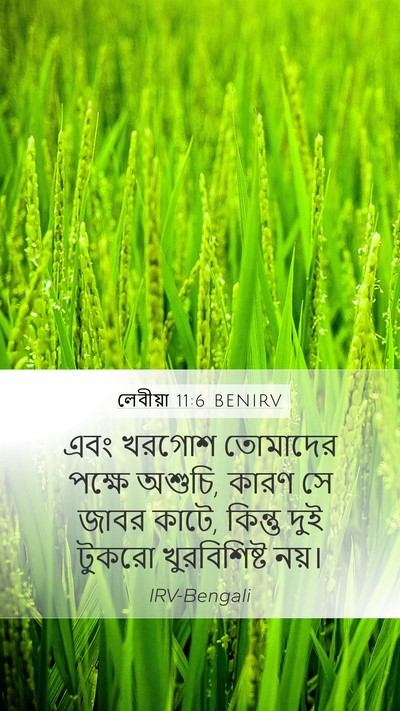 লেবীয়া 11:6 BENIRV Mobile Phone Wallpaper - এবং খরগোশ তোমাদের - Mobile Bible Verse Wallpaper