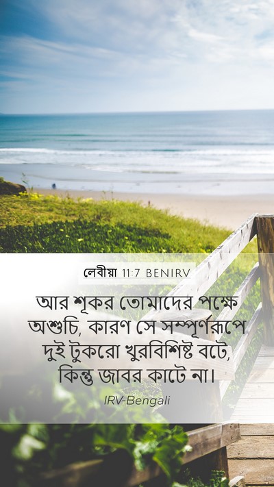 লেবীয়া 11:7 BENIRV Bible Verse Image