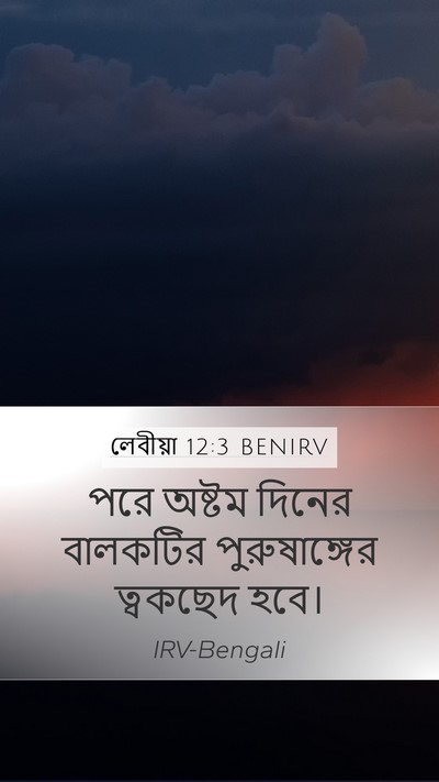 লেবীয়া 12:3 BENIRV Bible Verse Image