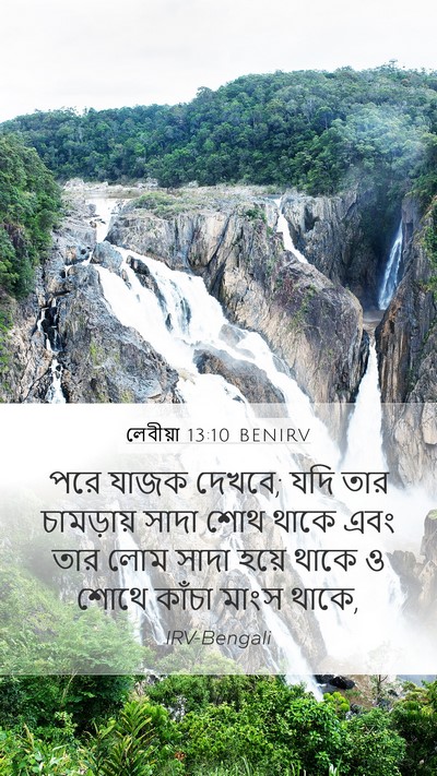লেবীয়া 13:10 BENIRV Mobile Phone Wallpaper - পরে যাজক দেখবে; যদি - Mobile Bible Verse Wallpaper