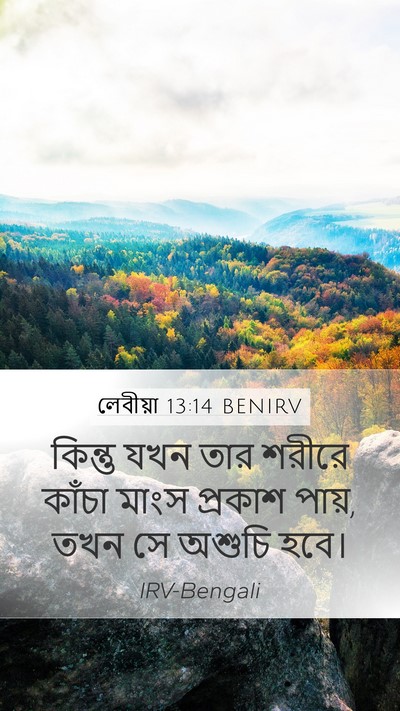 লেবীয়া 13:14 BENIRV Bible Verse Image