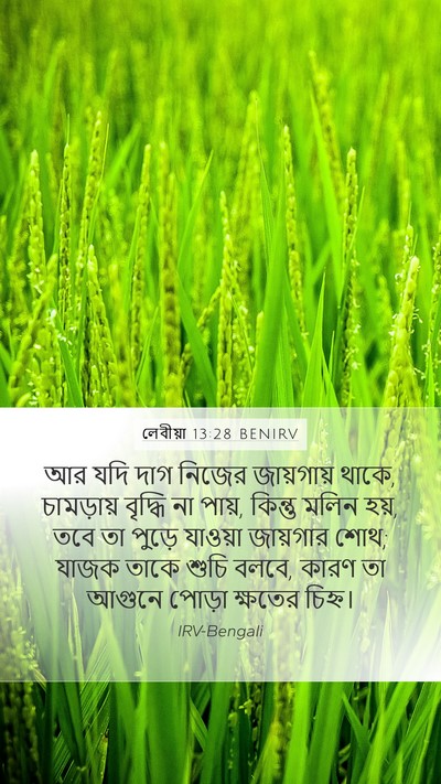 লেবীয়া 13:28 BENIRV Mobile Phone Wallpaper - আর যদি দাগ নিজের - Mobile Bible Verse Wallpaper
