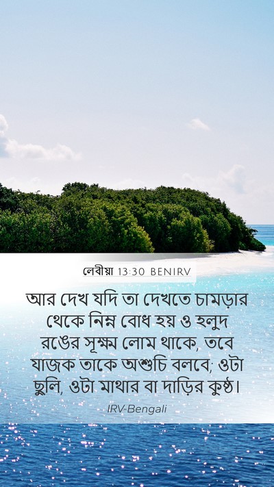 লেবীয়া 13:30 BENIRV Bible Verse Image