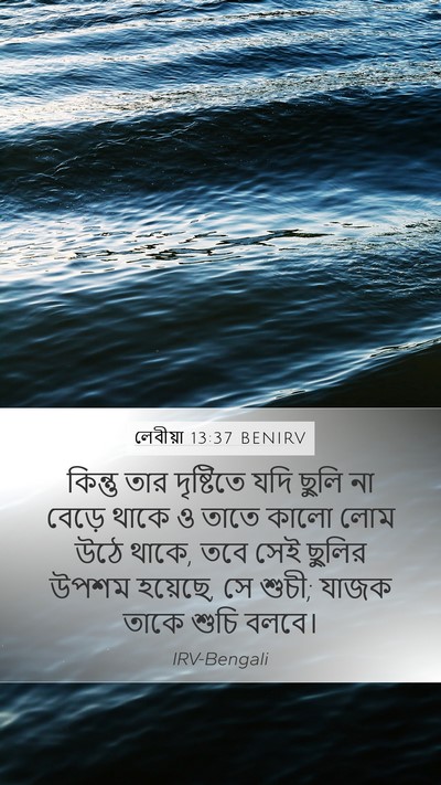 লেবীয়া 13:37 BENIRV Mobile Phone Wallpaper - কিন্তু তার - Mobile Bible Verse Wallpaper