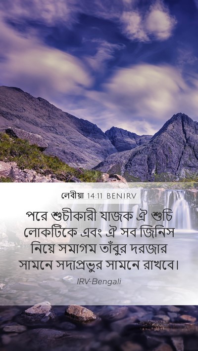 লেবীয়া 14:11 BENIRV Mobile Phone Wallpaper - পরে শুচীকারী যাজক - Mobile Bible Verse Wallpaper