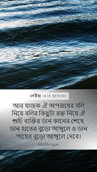 লেবীয়া 14:14 BENIRV Bible Verse Image