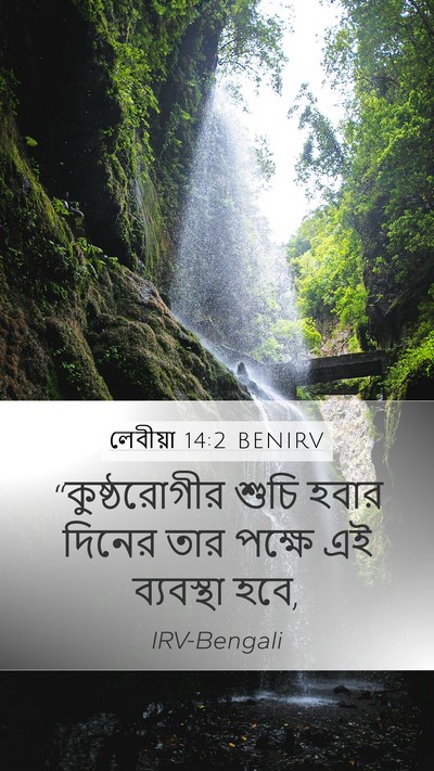 লেবীয়া 14:2 BENIRV Bible Verse Image
