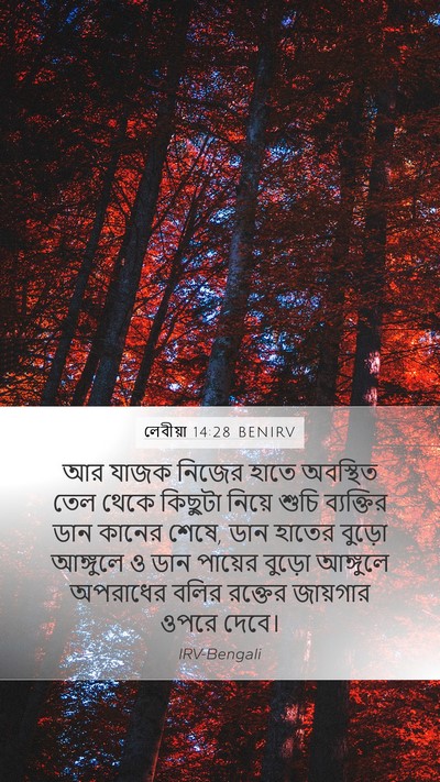 লেবীয়া 14:28 BENIRV Bible Verse Image