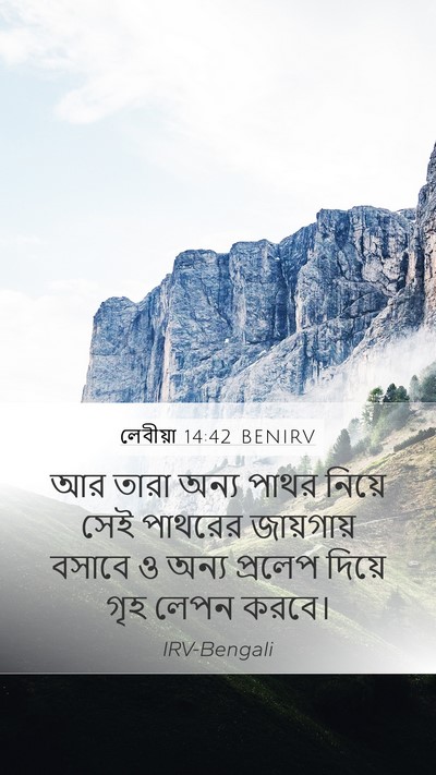 লেবীয়া 14:42 BENIRV Mobile Phone Wallpaper - আর তারা অন্য পাথর - Mobile Bible Verse Wallpaper