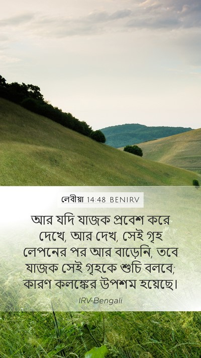লেবীয়া 14:48 BENIRV Mobile Phone Wallpaper - আর যদি যাজক প্রবেশ - Mobile Bible Verse Wallpaper