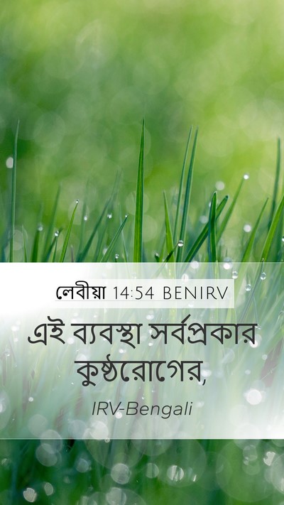লেবীয়া 14:54 BENIRV Bible Verse Image