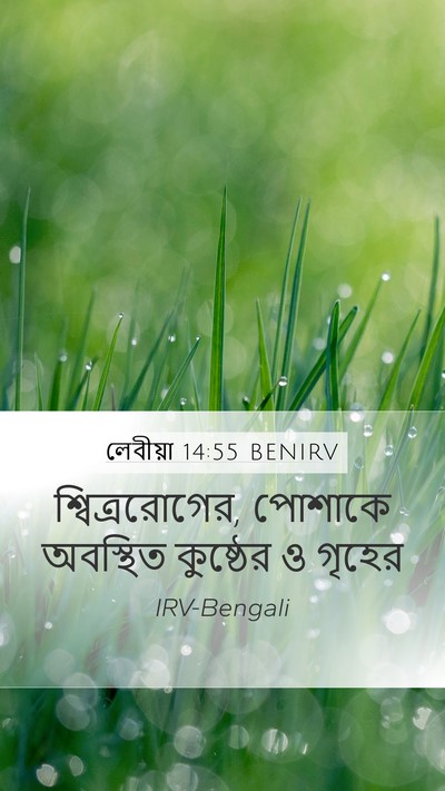 লেবীয়া 14:55 BENIRV Mobile Phone Wallpaper - শ্বিত্ররোগের, - Mobile Bible Verse Wallpaper