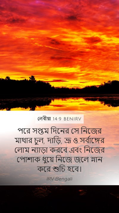 লেবীয়া 14:9 BENIRV Bible Verse Image