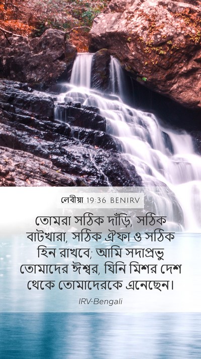 লেবীয়া 19:36 BENIRV Bible Verse Image
