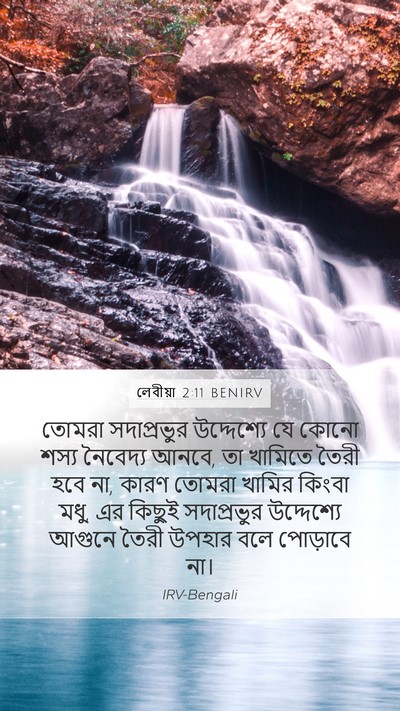 লেবীয়া 2:11 BENIRV Bible Verse Image