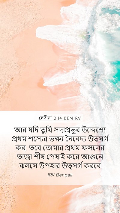লেবীয়া 2:14 BENIRV Bible Verse Image
