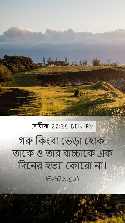 লেবীয়া 22:28 BENIRV Bible Verse Image