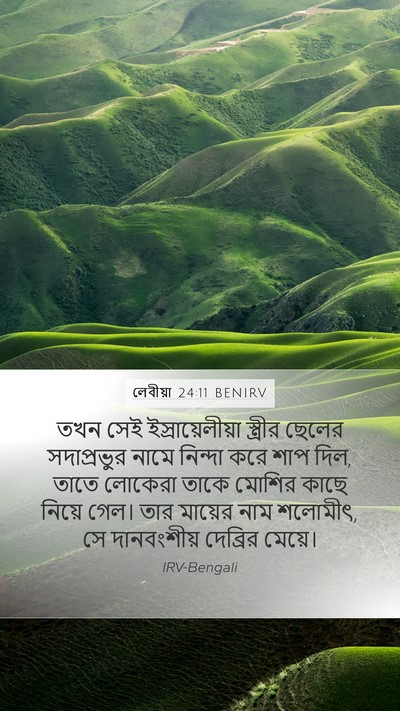 লেবীয়া 24:11 BENIRV Bible Verse Image