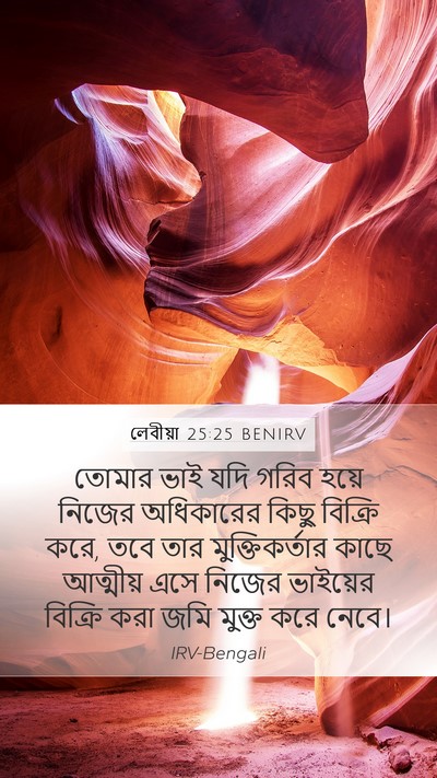 লেবীয়া 25:25 BENIRV Bible Verse Image