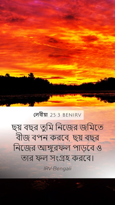 লেবীয়া 25:3 BENIRV Mobile Phone Wallpaper - ছয় বছর তুমি নিজের - Mobile Bible Verse Wallpaper