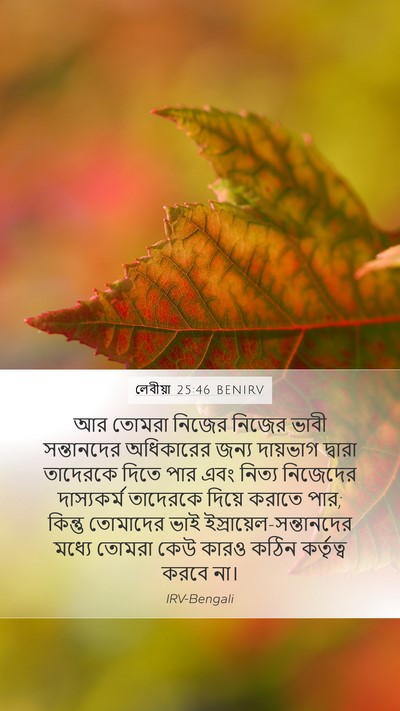 লেবীয়া 25:46 BENIRV Mobile Phone Wallpaper - আর তোমরা নিজের - Mobile Bible Verse Wallpaper