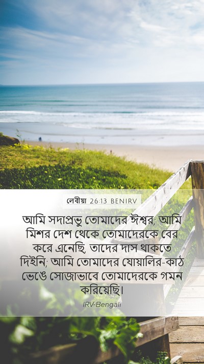 লেবীয়া 26:13 BENIRV Bible Verse Image