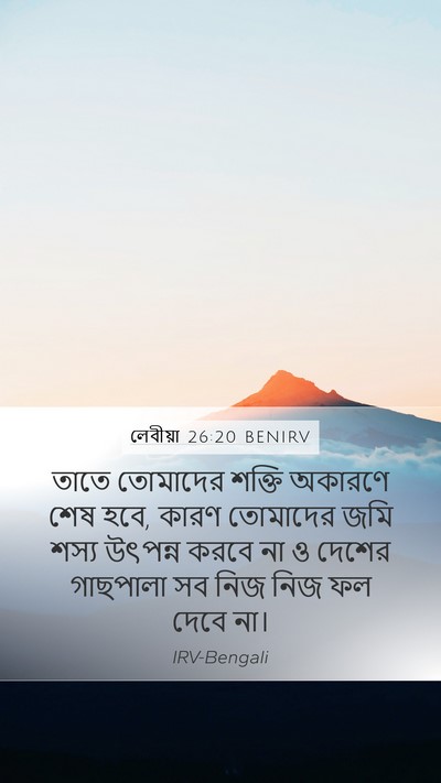 লেবীয়া 26:20 BENIRV Bible Verse Image