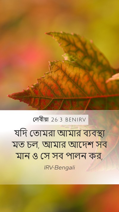 লেবীয়া 26:3 BENIRV Bible Verse Image