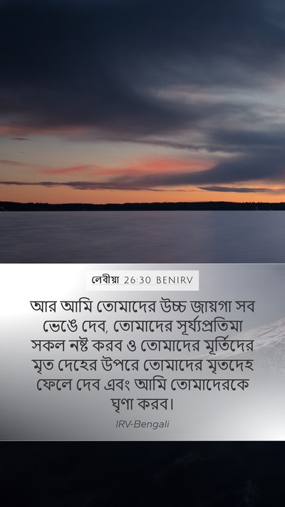 লেবীয়া 26:30 BENIRV Bible Verse Image