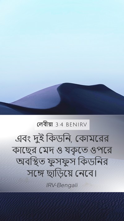 লেবীয়া 3:4 BENIRV Bible Verse Image