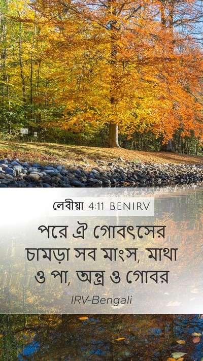লেবীয়া 4:11 BENIRV Bible Verse Image