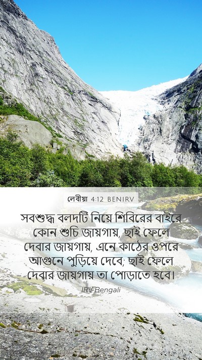 লেবীয়া 4:12 BENIRV Bible Verse Image