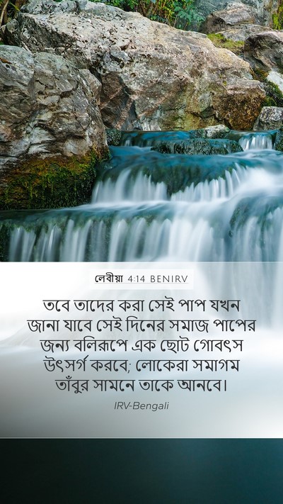 লেবীয়া 4:14 BENIRV Bible Verse Image