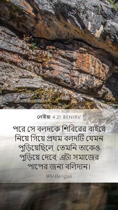 লেবীয়া 4:21 BENIRV Bible Verse Image