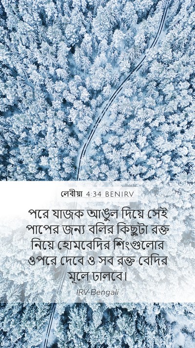 লেবীয়া 4:34 BENIRV Bible Verse Image